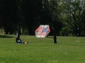 Herb & Tea Festival 4.27.13 (17)