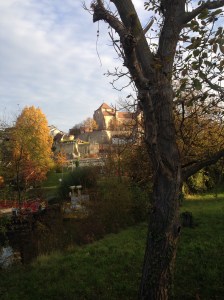 20141103_072522148_iOS